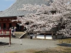 -醍醐寺