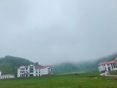 -关山草原