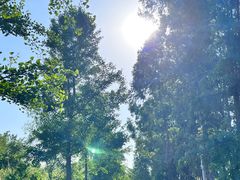 -白鹭湾湿地公园