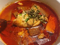 -梧桐Plus·创意京·川料理(万象城店)