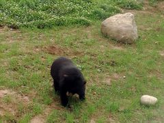景点-西安秦岭野生动物园