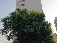 -润泽园饭庄(中山路店)