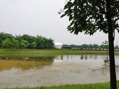 -金谷域澳洲庄园