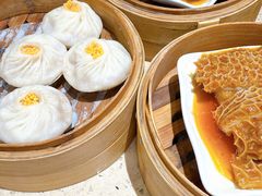 -点都德(千灯湖环宇城店)
