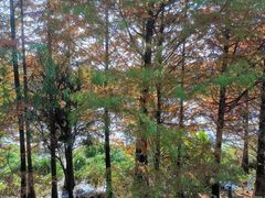 -贵阳市花溪国家城市湿地公园