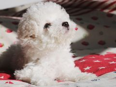 -沐沐家宠物(成寿寺店)