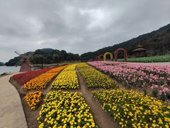 -广州市石门国家森林公园