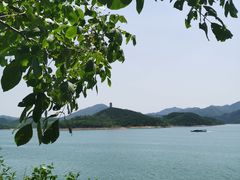 -望湖烤鱼
