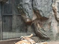 -南昌动物园