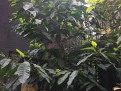 -钟永庆水饺(红星路南延线一段)