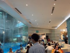 -帝企鹅自助餐厅•儿童岛•真企鹅(长隆企鹅酒店)