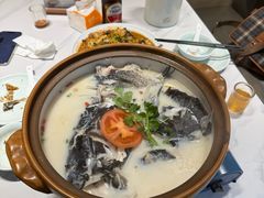 -全乐鱼馆·淳牌有机鱼直营店