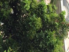 iphone_upload_pic-厦门悦华酒店