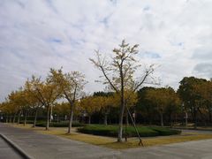 -华东政法大学(松江校区)