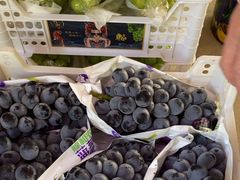 -马陆小张葡萄园农家乐