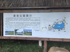 -洛龙公园