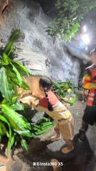 -Zoolung Zoolung动物主题公园(海信广场店)