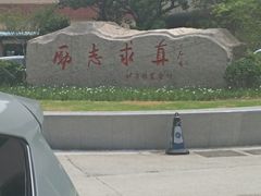 -华东理工大学徐汇校区-图书馆