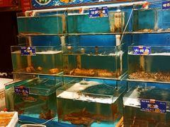 水产区-粥全粥到海鲜家常菜·海肠捞饭(嫩江路店)