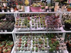 -KKV(深圳宏发大仟里店)