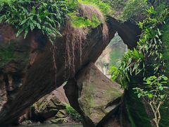 -广州莲花山旅游区
