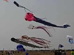 -潍坊滨海云门国际风筝放飞场
