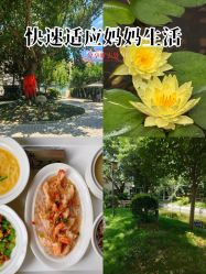 -莲生母婴月子中心(清水河公园店)