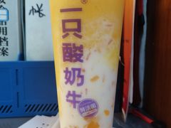 -一只酸奶牛(兰州中心店)