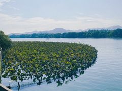 -楼外楼(西湖景区孤山路店)
