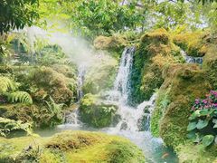 -Chom Cafe and Restaurant