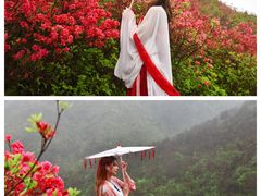 -木兰云雾山