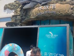 -秦皇岛乐岛海洋王国