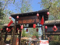 -合肥滨湖国家森林公园