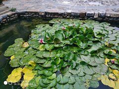 -南宫温泉水世界