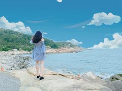 -广东惠东海龟国家级自然保护区