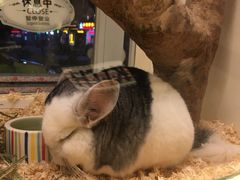 -龙猫仔乐园(惠福东路店)