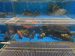 -聚宝渔港.五钻酒家(上地店)