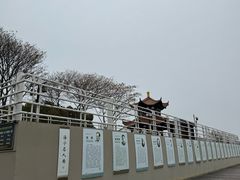 -观潮胜地公园