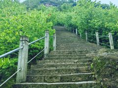 -天台山赤城山景区