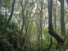 -WeLope紫金山探险公园