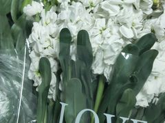 -循礼门鲜花花市(武汉循礼门店)