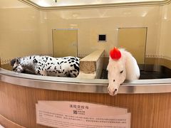 -海澜飞马水城