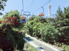 -富斯特索道