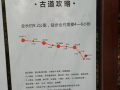 -羚羊峡古栈道森林公园