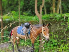 -西岭雪山大飞水景区