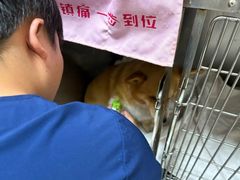 -康成宠物医院24H·CT·核磁共振