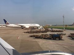 -上海浦东国际机场-T2航站楼