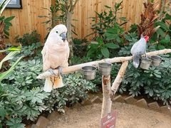 -南宫五洲植物乐园