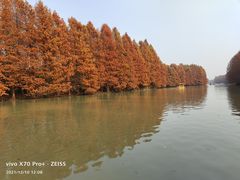 -上海海湾国家森林公园