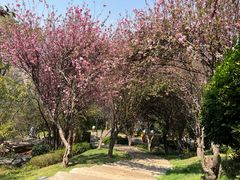 -七彩云南古滇温泉山庄